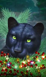 Blue Panther -CE